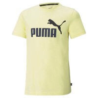 Puma ESS 2 Col Logo Tee B,YELLOW PEAR